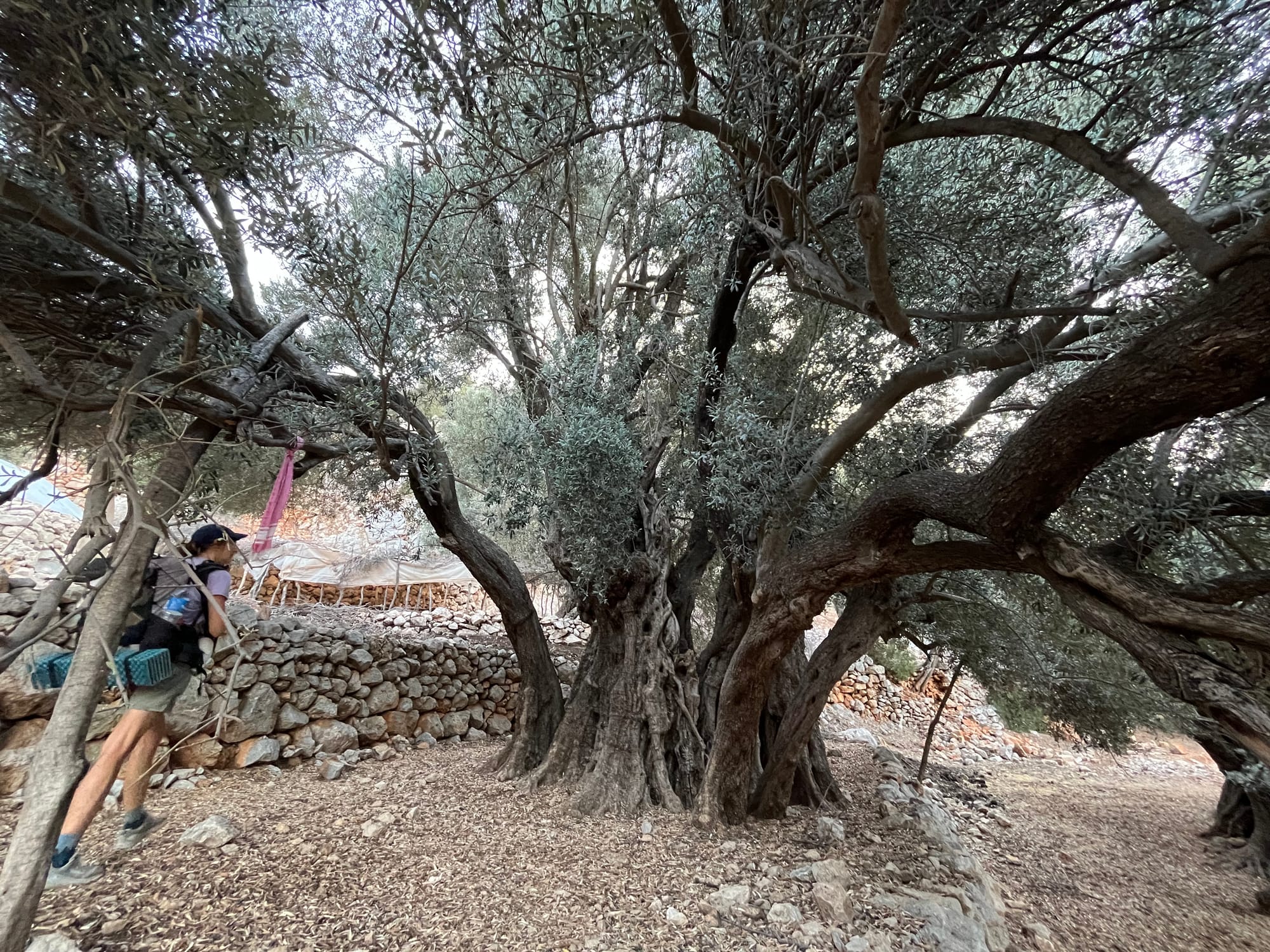 The Lycian Way with Baby and Tent – Week One: From Fethiye to Kalkan