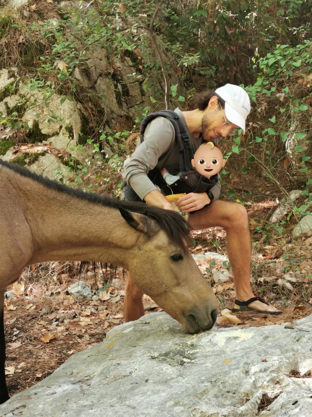 Der Lykische Weg mit Baby und Zelt – Woche 4: Ankunft nach 500 Kilometern